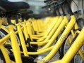 ofo单车最新爆料,行业变革下的生存之道”