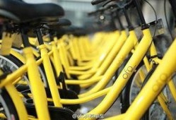 ofo单车最新爆料,行业变革下的生存之道”
