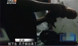 屠宰最新爆料视频大全,屠宰行业内幕视频大盘点
