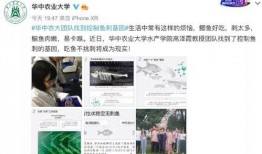华中农大最新爆料消息,重大科研成果突破，引领农业发展新篇章