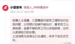 三盛集团爆料事件视频最新,事件真相与内幕曝光