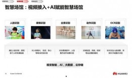 云瑾视频爆料大全最新网站,最新网站内容概览