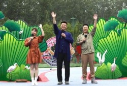 韩羽爆料斩虎视频大全最新,斩虎视频大全背后的惊心动魄故事