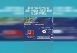 台风苏拉最新爆料视频大全,视频大全直击现场，揭秘风雨中的惊心动魄