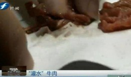 屠宰最新爆料视频大全,屠宰行业内幕视频大盘点