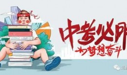 秃崽贴吧爆料最新消息,揭秘娱乐圈惊人内幕