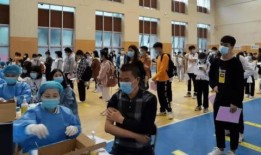 秃崽贴吧爆料最新消息,揭秘娱乐圈惊人内幕